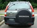 2006 Silver Moss Metallic Honda CR-V LX 4WD  photo #5