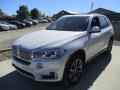 Mineral White Metallic - X5 xDrive35i Photo No. 8