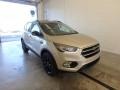 White Gold - Escape Titanium 4WD Photo No. 1
