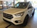 White Gold - Escape Titanium 4WD Photo No. 4