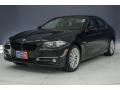 Black Sapphire Metallic - 5 Series 528i Sedan Photo No. 31