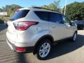 2018 White Gold Ford Escape SEL 4WD  photo #2