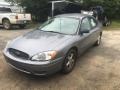 2006 Silver Frost Metallic Ford Taurus SE  photo #2