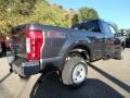 Magnetic - F350 Super Duty XL SuperCab 4x4 Photo No. 2