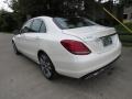 Polar White - C 300 Sedan Photo No. 12