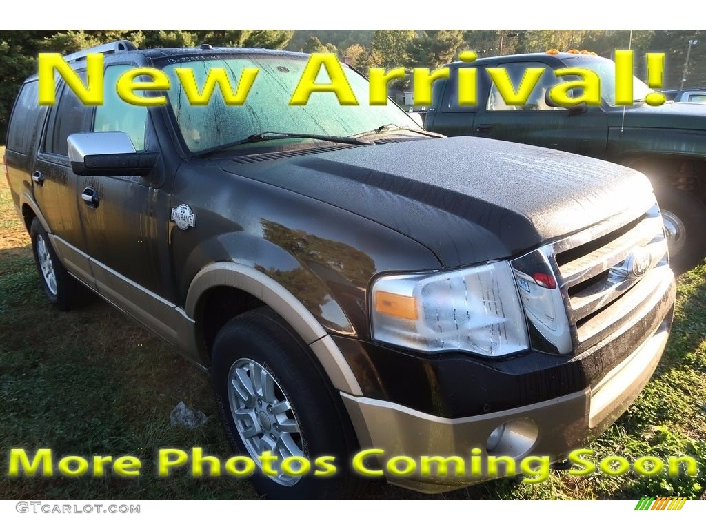 2013 Expedition King Ranch 4x4 - Kodiak Brown / King Ranch Charcoal Black/Chaparral Leather photo #1
