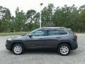 Granite Crystal Metallic - Cherokee Latitude Plus Photo No. 2