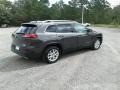 Granite Crystal Metallic - Cherokee Latitude Plus Photo No. 5