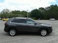 Granite Crystal Metallic - Cherokee Latitude Plus Photo No. 6