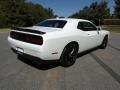 White Knuckle - Challenger R/T Scat Pack Photo No. 6
