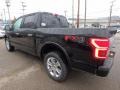 2018 Shadow Black Ford F150 Platinum SuperCrew 4x4  photo #4