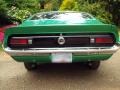 Grabber Green - Maverick Coupe Photo No. 5