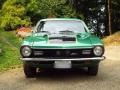 Grabber Green - Maverick Coupe Photo No. 23
