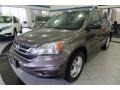 2010 Urban Titanium Metallic Honda CR-V EX AWD  photo #1