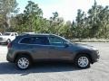 Granite Crystal Metallic - Cherokee Latitude Plus Photo No. 6