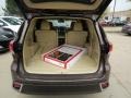 Toasted Walnut Pearl - Highlander Limited AWD Photo No. 6