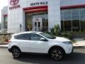 Blizzard Pearl - RAV4 Limited AWD Photo No. 2