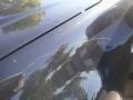 Labrador Black - Outlander Sport ES Photo No. 21