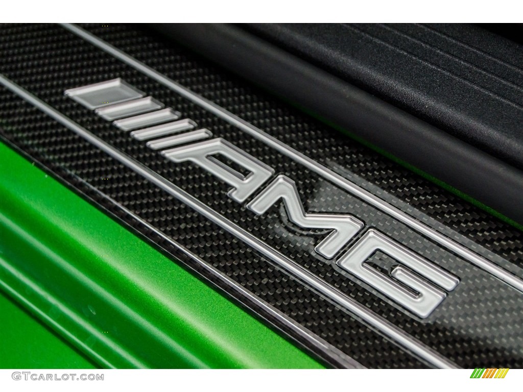 2018 Mercedes-Benz AMG GT R Coupe Marks and Logos Photo #123293879