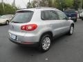 Reflex Silver Metallic - Tiguan SEL 4Motion Photo No. 6