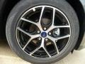 Magnetic - Focus SEL Sedan Photo No. 7
