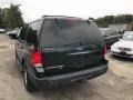 2004 Aspen Green Metallic Ford Expedition XLT 4x4  photo #3