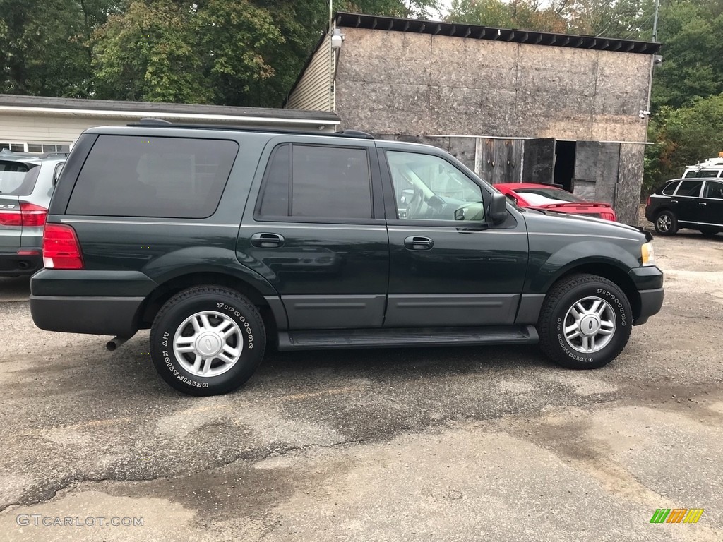 2004 Expedition XLT 4x4 - Aspen Green Metallic / Medium Parchment photo #6