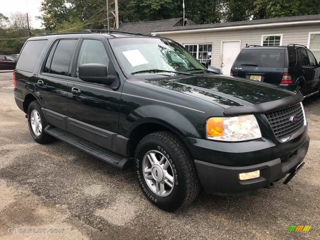 2004 Expedition XLT 4x4 - Aspen Green Metallic / Medium Parchment photo #7
