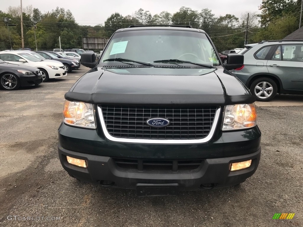 2004 Expedition XLT 4x4 - Aspen Green Metallic / Medium Parchment photo #8