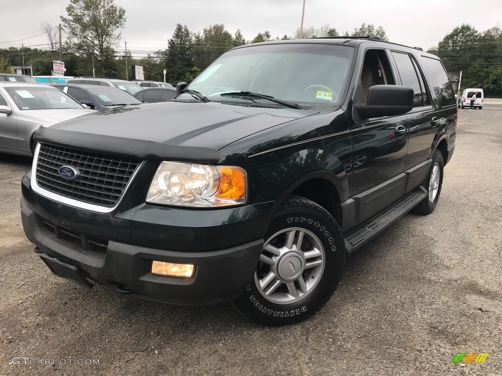 2004 Expedition XLT 4x4 - Aspen Green Metallic / Medium Parchment photo #20