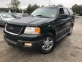 2004 Aspen Green Metallic Ford Expedition XLT 4x4  photo #20