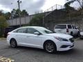 Quartz White Pearl - Sonata SE Photo No. 3