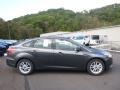 Magnetic - Focus SE Sedan Photo No. 1