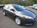 Magnetic - Focus SE Sedan Photo No. 3
