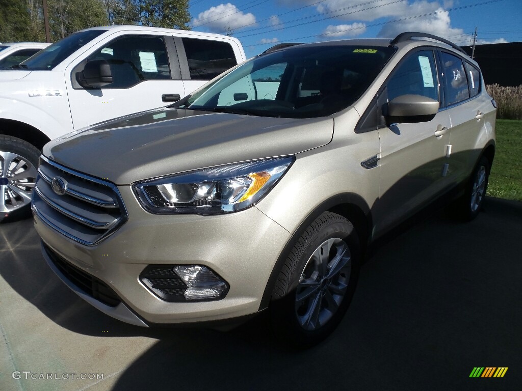 White Gold Ford Escape