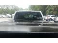 Ingot Silver Metallic - F150 STX Regular Cab Photo No. 16