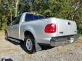 2001 Silver Metallic Ford F150 XLT SuperCrew  photo #3