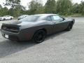 Granite - Challenger SXT Photo No. 4