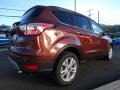 Cinnamon Glaze - Escape SE 4WD Photo No. 5