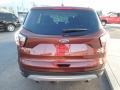 Cinnamon Glaze - Escape SE 4WD Photo No. 6