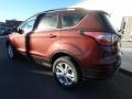 Cinnamon Glaze - Escape SE 4WD Photo No. 8
