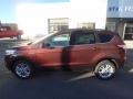 Cinnamon Glaze - Escape SE 4WD Photo No. 9