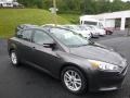 Magnetic - Focus SE Sedan Photo No. 1