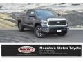 Magnetic Gray Metallic - Tundra SR5 Double Cab 4x4 Photo No. 1