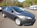 Magnetic - Focus SE Sedan Photo No. 3