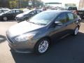 Magnetic - Focus SE Sedan Photo No. 5