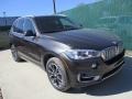 Dark Graphite Metallic - X5 xDrive35i Photo No. 6