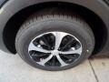 Platinum Graphite - Sorento EX V6 AWD Photo No. 10