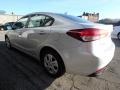 Silky Silver - Forte LX Photo No. 4