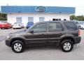 2007 Dark Stone Metallic Ford Escape XLS  photo #2